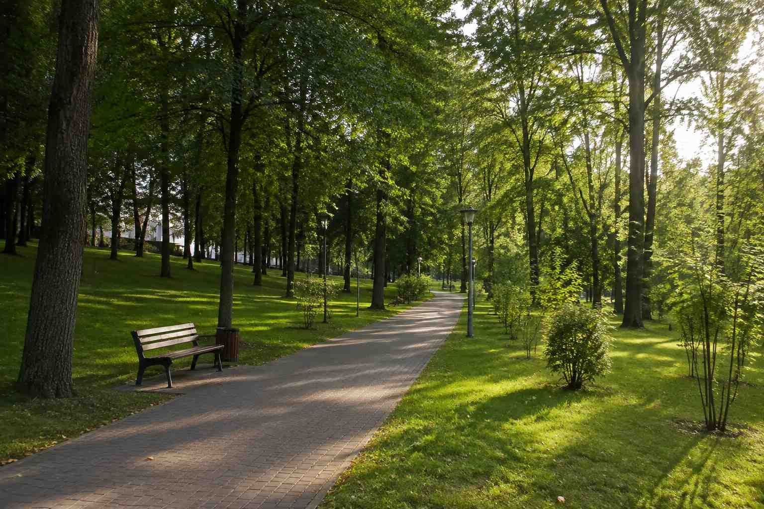 https://krasnoyarsk.blago-s.ru/storage/app/uploads/public/6a7/eef/ed2/6a7eefed2af22038960370.jpg